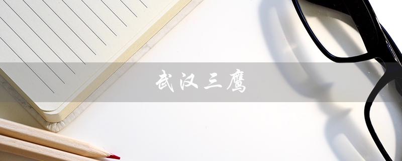 武汉三鹰（武汉三鹰生物技术有限公司是什么）