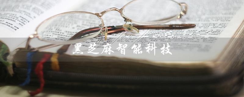 黑芝麻智能科技（什么是黑芝麻智能科技股票）