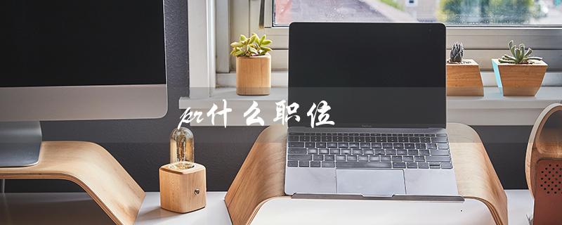 pr什么职位(PR职位全称是什么)
