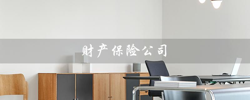 财产保险公司（财产保险公司排名前十）