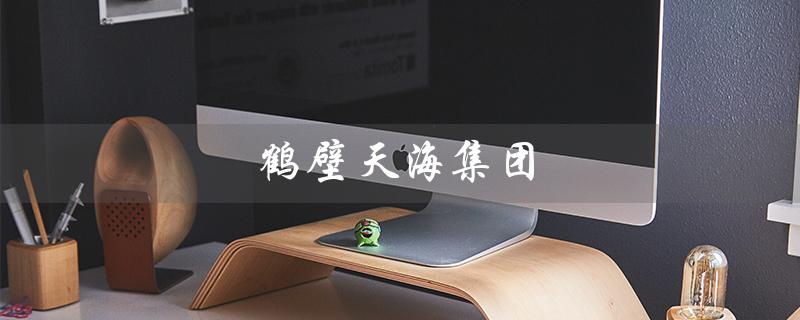 鹤壁天海集团（鹤壁天海集团招聘信息）