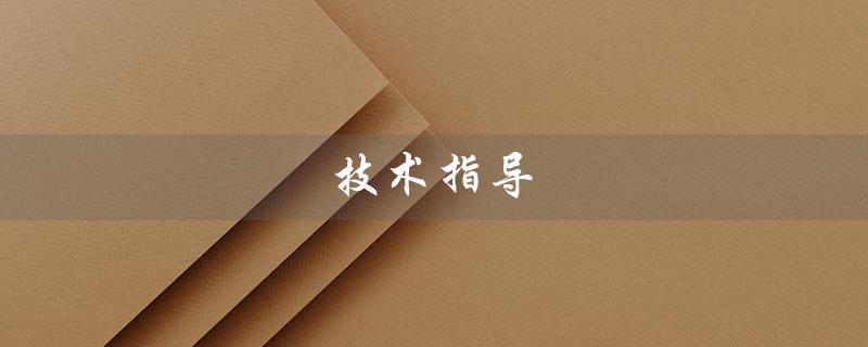 技术指导（技术指导员的职责是什么）