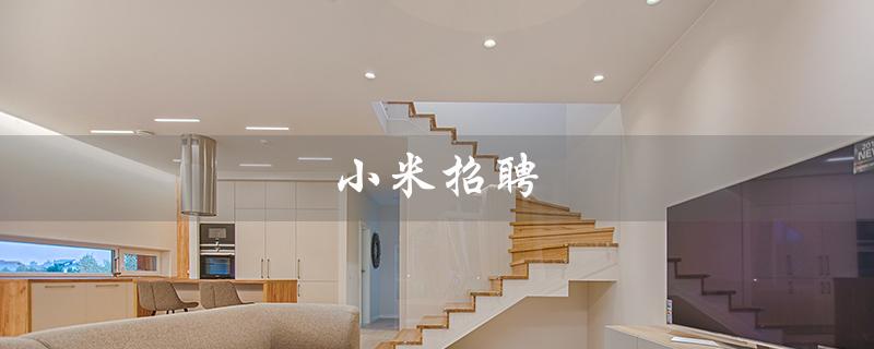 小米招聘（小米招聘官网是什么）
