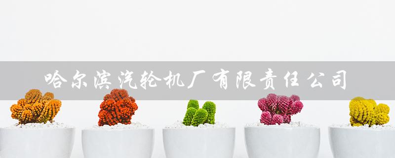 哈尔滨汽轮机厂有限责任公司（哈尔滨汽轮机厂员工待遇如何）