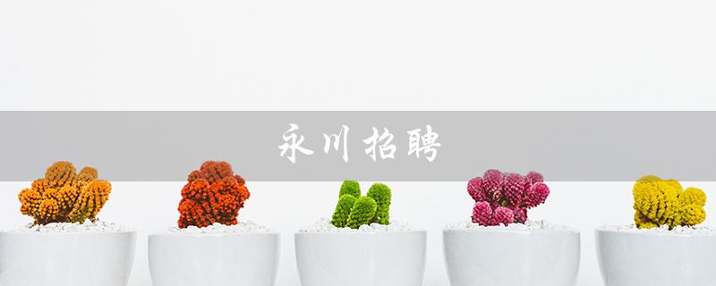永川招聘（永川最新招聘信息在哪里）