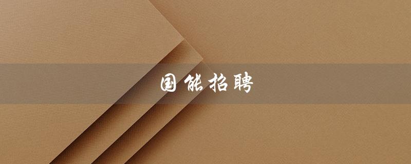 国能招聘（国能招聘笔试考什么）