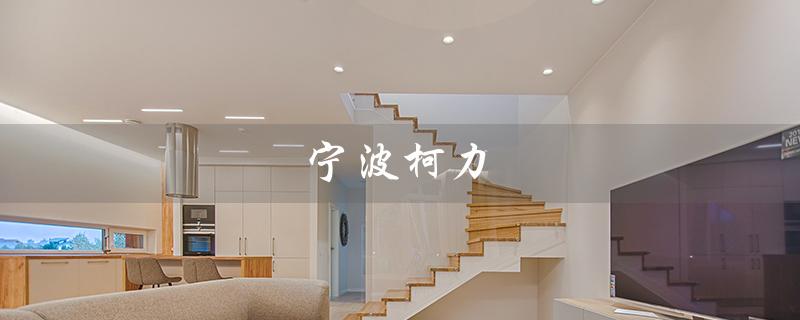 宁波柯力（宁波柯力称重传感器官网是什么）