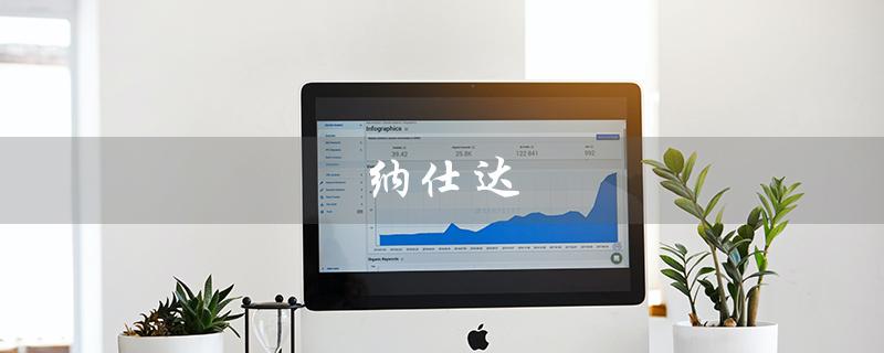 纳仕达（纳仕达是哪家公司）