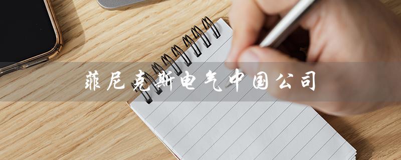 菲尼克斯电气中国公司（菲尼克斯电气中国公司官网是什么）