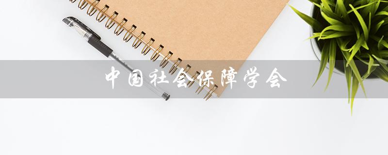 中国社会保障学会（中国社保学会官网是什么）