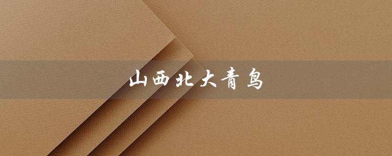 山西北大青鸟（谁是山西北大青鸟消防设备代理）