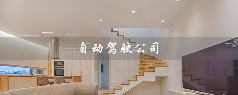 自动驾驶公司（国内自动驾驶公司排名）