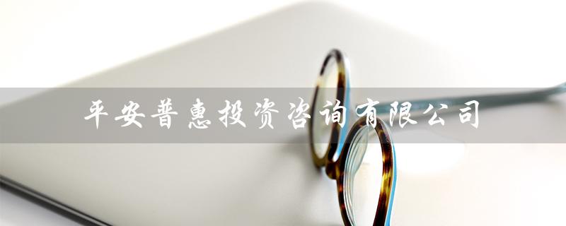 平安普惠投资咨询有限公司（上海平安普惠是什么公司）