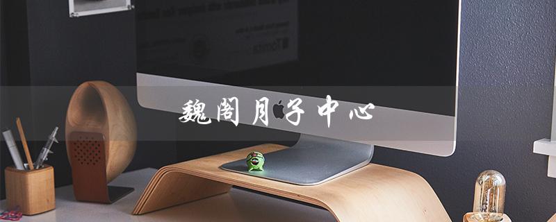 魏阁月子中心（巍阁月子中心月费）