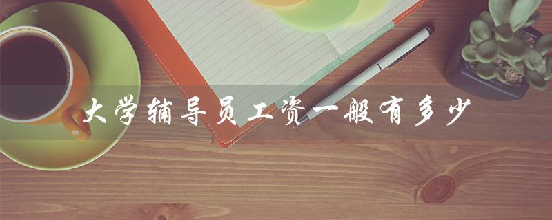 大学辅导员工资一般有多少（大学老师工资多少）