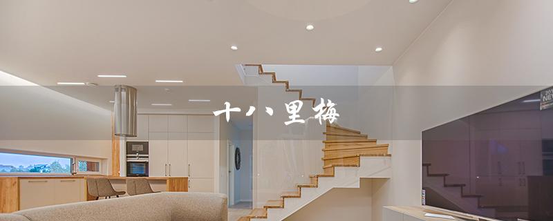 十八里梅（十八里梅是什么品牌）