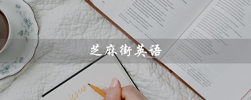 芝麻街英语（芝麻街英语课程体系是什么）