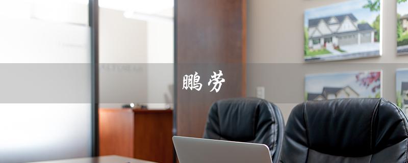 鹏劳（鹏劳公司招聘最新岗位）