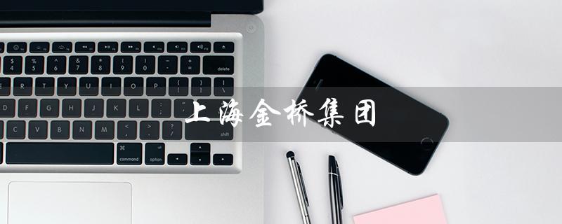 上海金桥集团（上海金桥集团为国企吗）