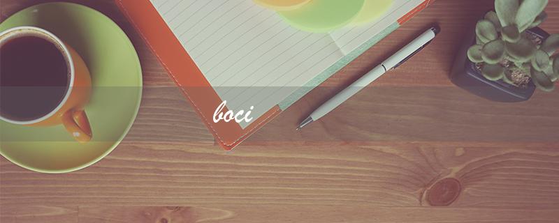 boci（波茨坦公告是什么）