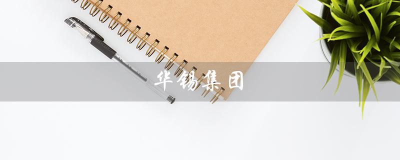 华锡集团（华锡集团单位级别是什么）