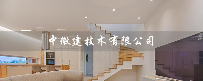 中徽建技术有限公司（中徽建技术有限公司是什么）