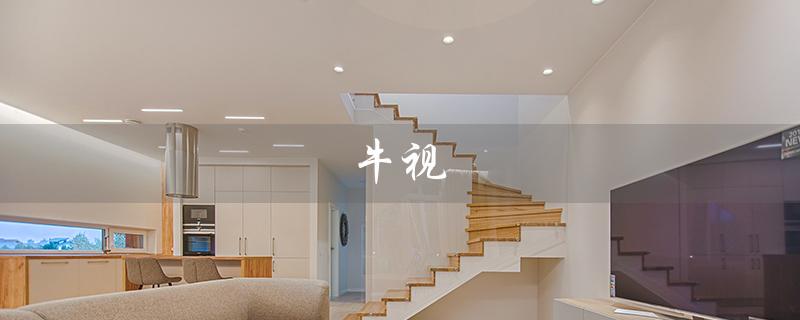 牛视（什么是牛视频）