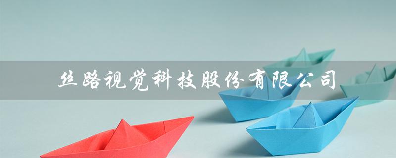 丝路视觉科技股份有限公司（丝路视觉上海分公司是谁）