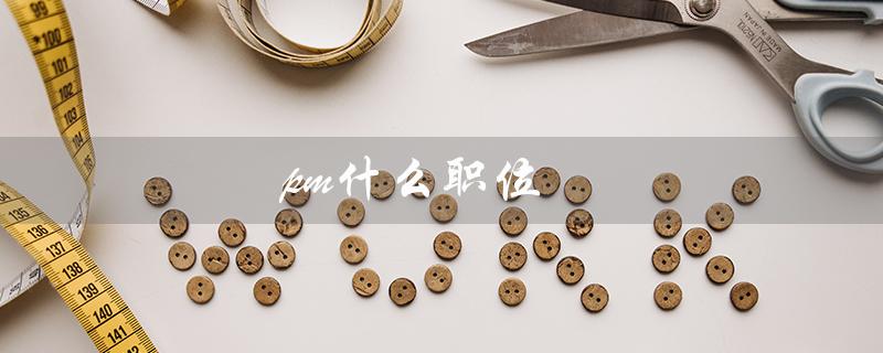 pm什么职位（什么是PM项目经理）