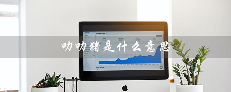 叻叻猪是什么意思（白话叻叻猪是什么）