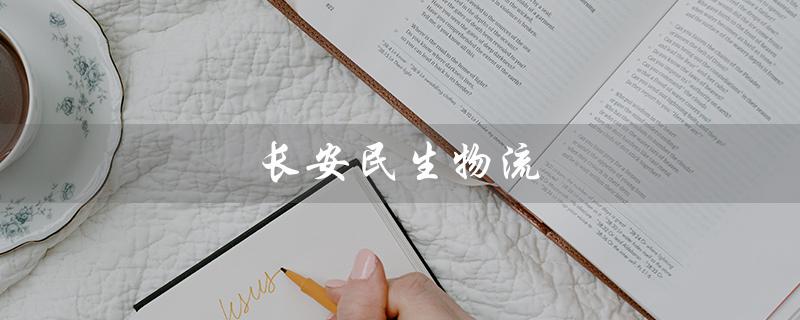 长安民生物流（长安民生物流有限公司是什么）