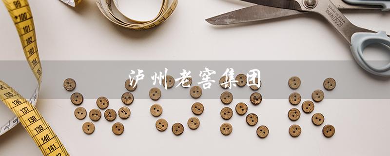 泸州老窖集团（泸州老窖集团官网是什么）