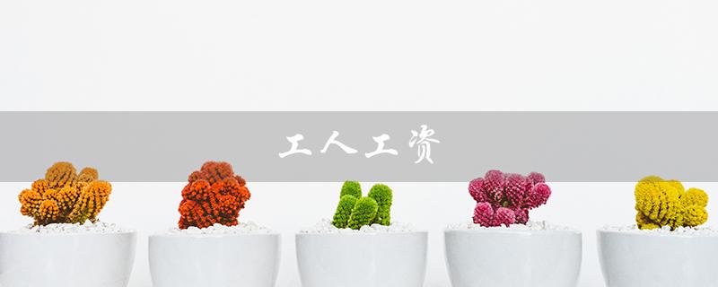 工人工资(工资拖欠怎么办)