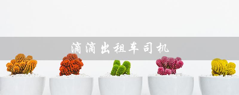 滴滴出租车司机(如何下载安装滴滴出租车司机)