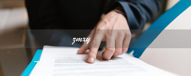 zmxy（造梦西游是什么）