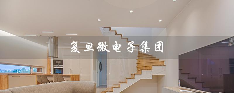 复旦微电子集团（复旦微电子集团前景如何）
