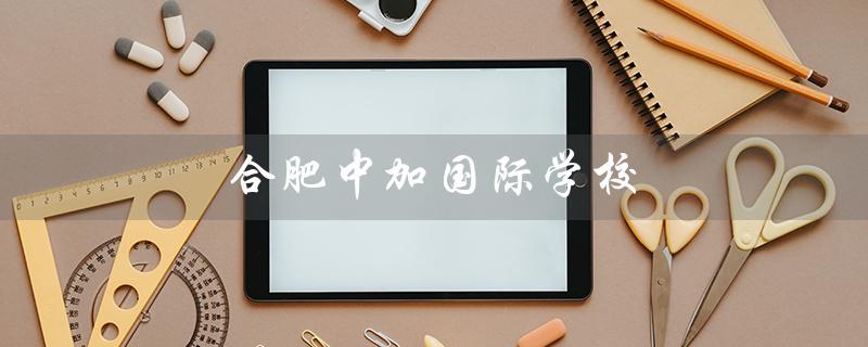 合肥中加国际学校（合肥中加国际学校官网是什么）