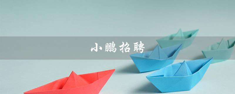 小鹏招聘（小鹏招聘官网是什么）
