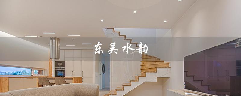 东吴水韵(东吴水韵价格表是什么)