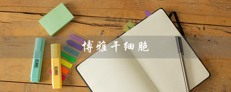 博雅干细胞（博雅干细胞靠谱吗）