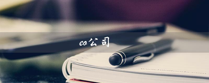 eo公司（什么是厦门cseo公司）