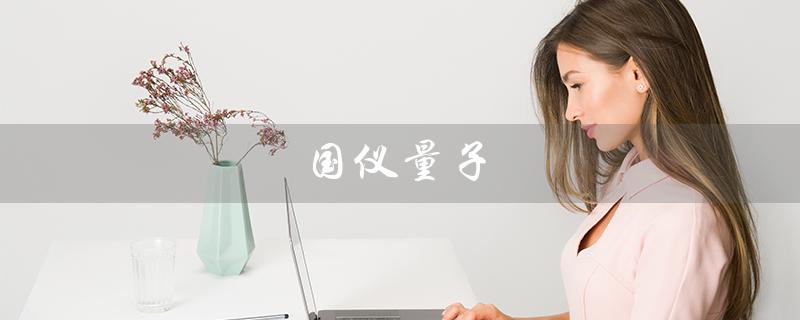 国仪量子(国仪量子技术有限公司是谁)