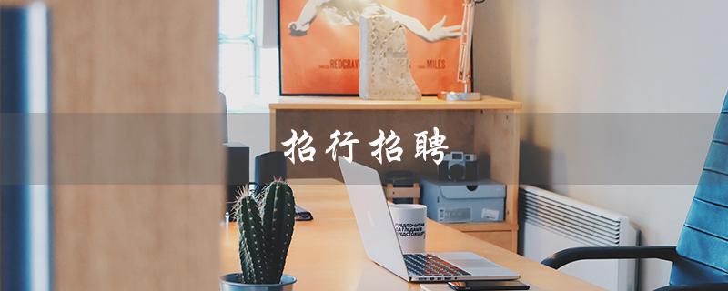 招行招聘（招行哪个岗位好进）
