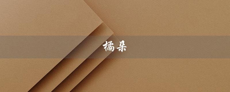 橘朵（什么是橘朵口红）