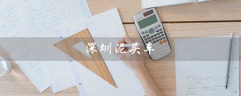 深圳泥头车（深圳泥头车政策有何更新）