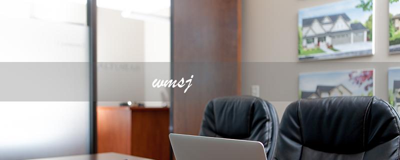 wmsj（完美世界在线观看免费吗）