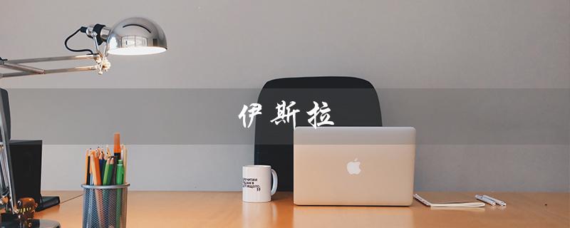 伊斯拉（什么是伊斯拉视觉检测）
