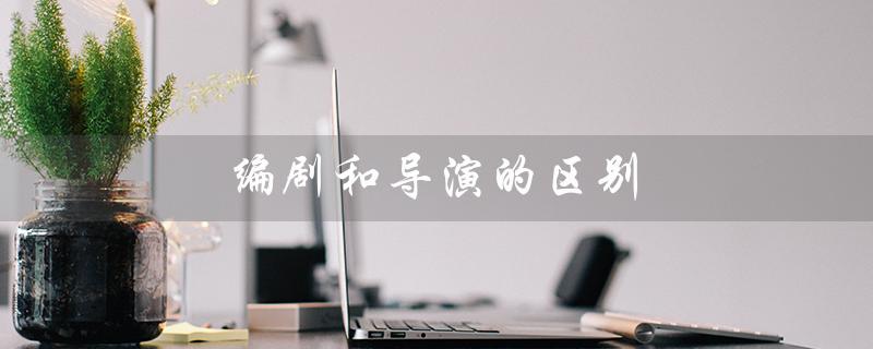 编剧和导演的区别（编剧写剧本多少钱）