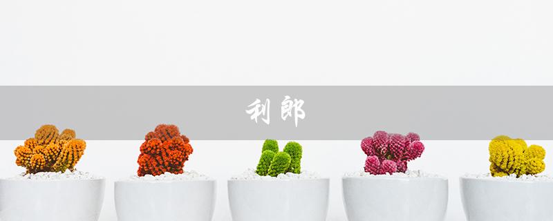 利郎（利郎男装官方旗舰店是什么）