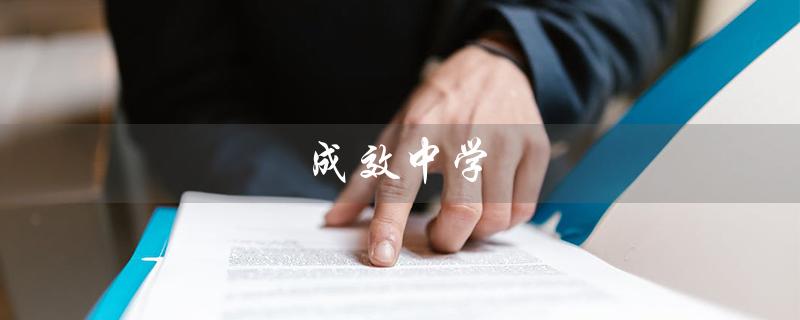 成效中学（小升初录取分数多少）